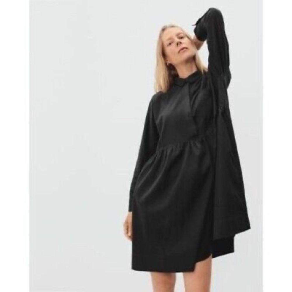 Everlane Black Midi Dress with Long Sleeves